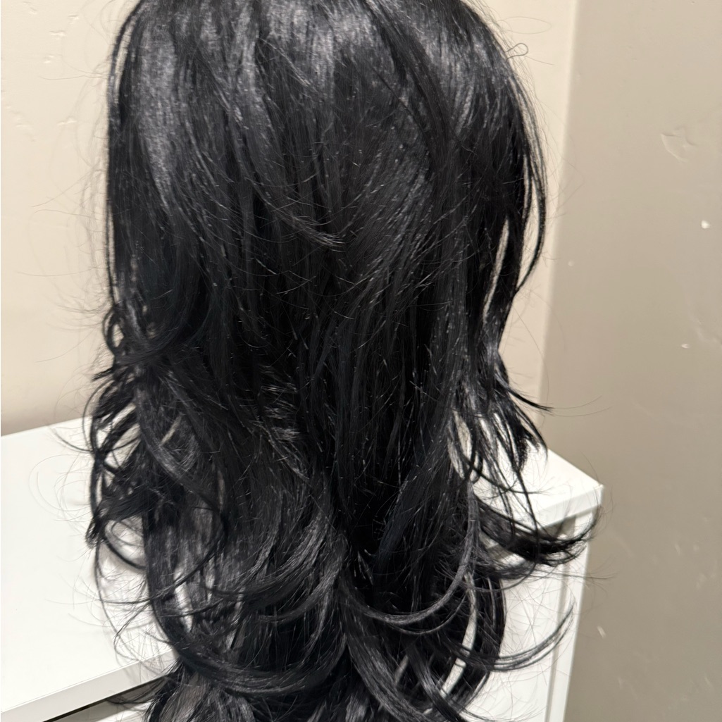 Elegant Black Womens Wig Bobbi Boss Brand